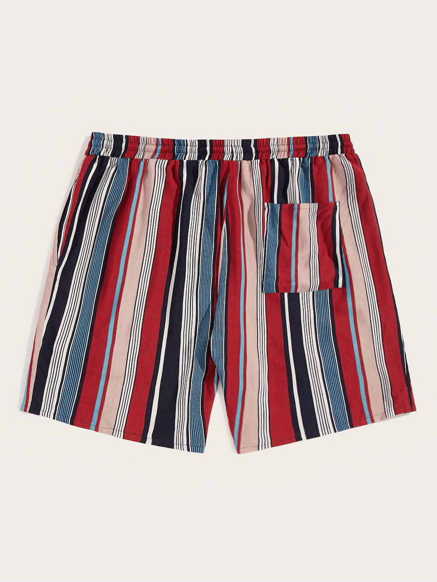 Drawstring Waist Striped Shorts