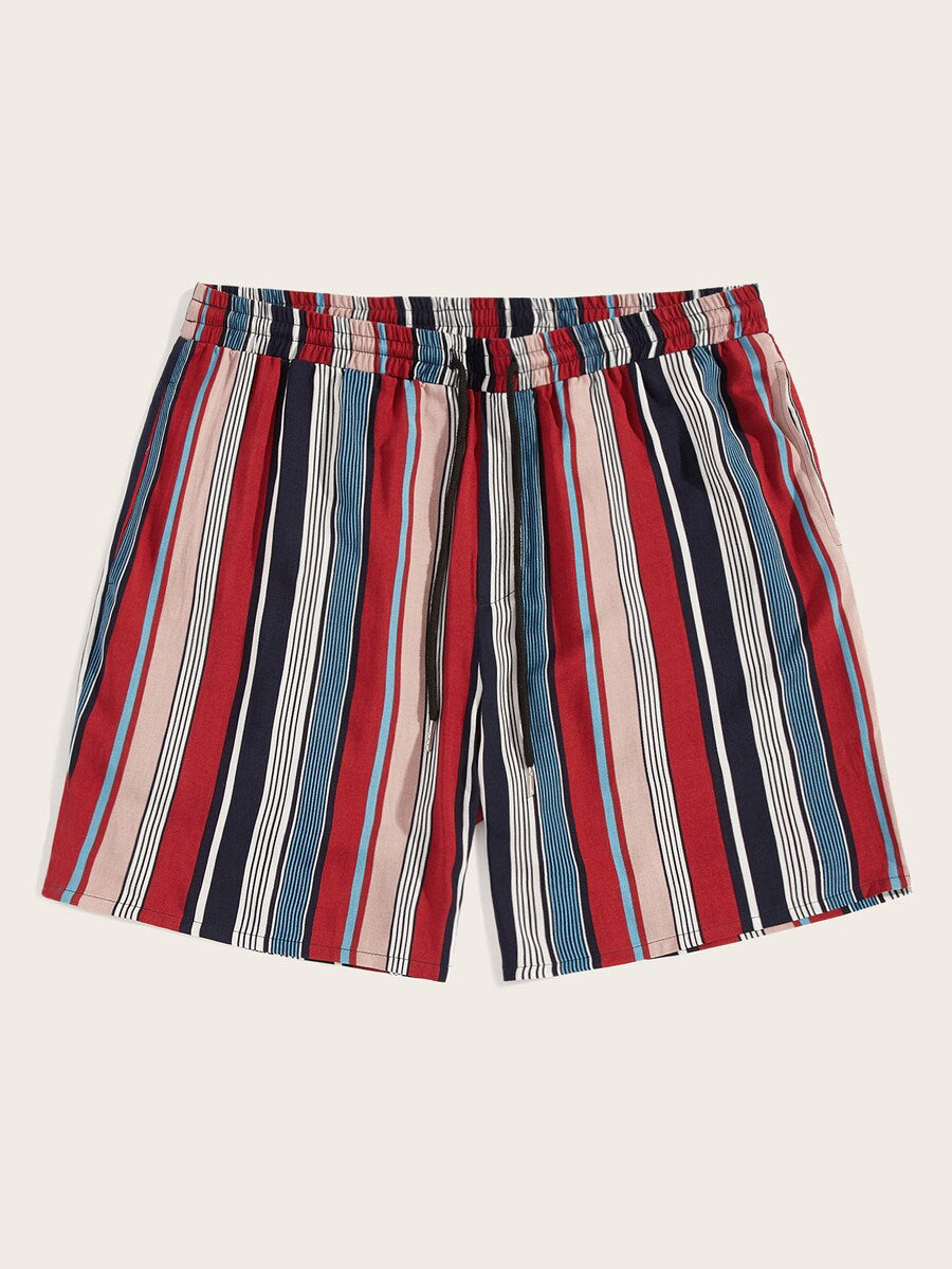 Drawstring Waist Striped Shorts